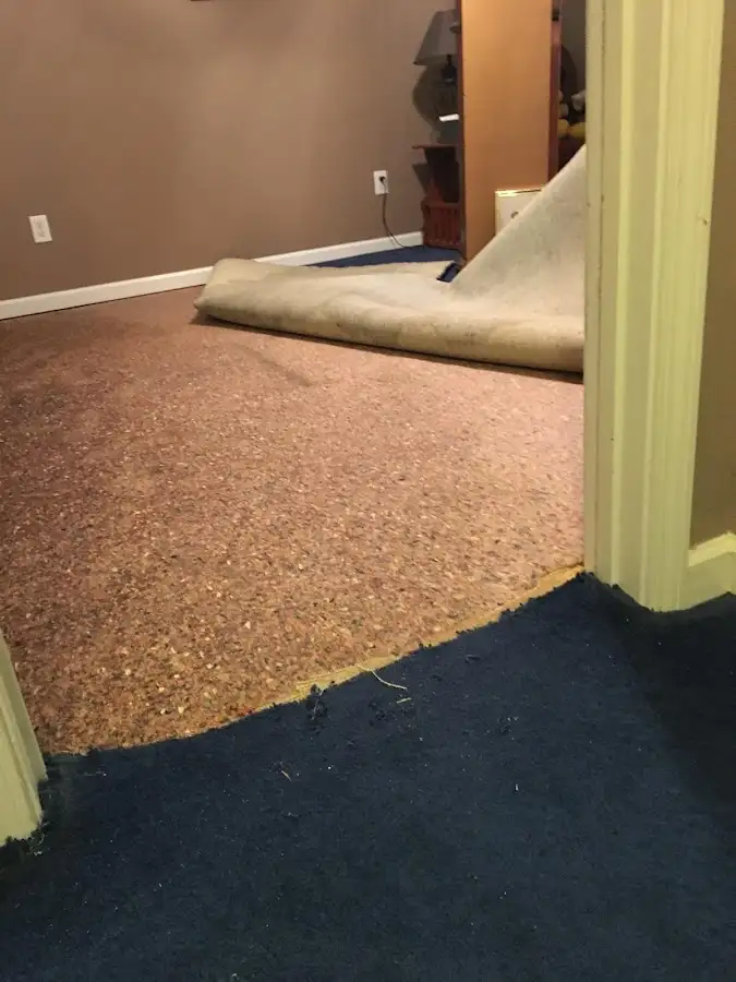 Carpet pad removal revealing water damage during Water Mitigation Services in Champion Heights