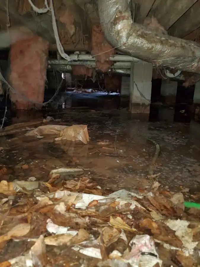 Crawl space flood assessment for Leak Detection & Repair in Champion Heights